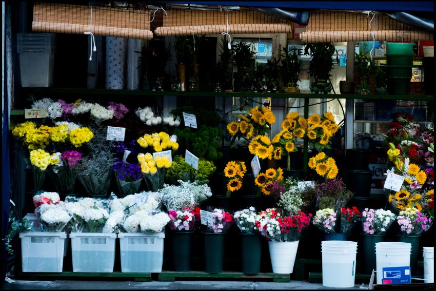 flowers for sale outside of a bodgea